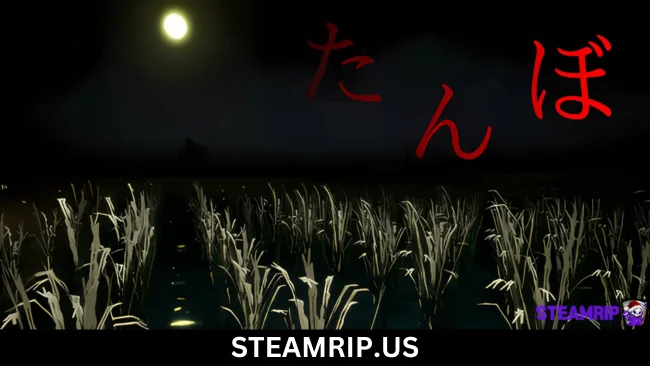 Rice field たんぼ SteamRip